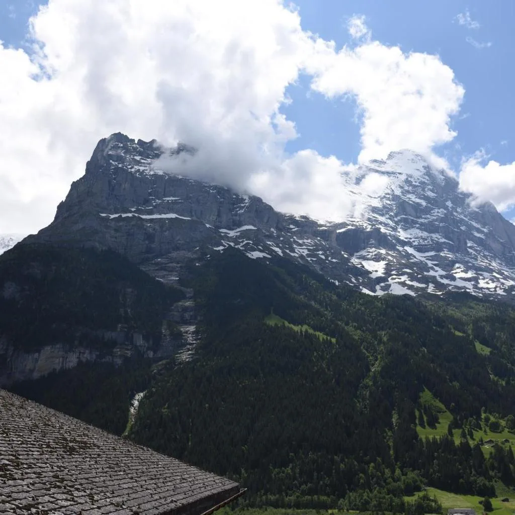 Hotel Tschuggen - صورة 8