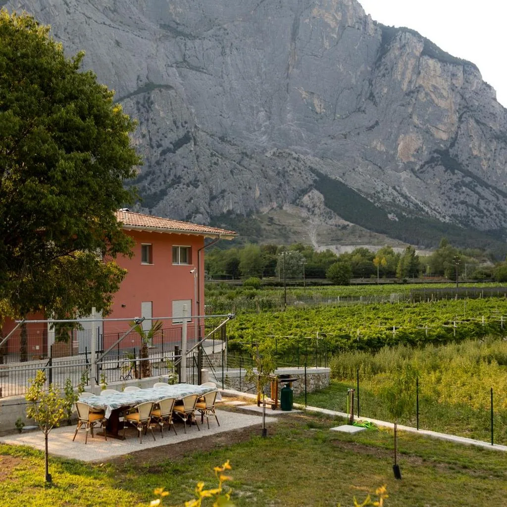 HOLIDAY APARTMENTS GIULIA - Green - صورة 5