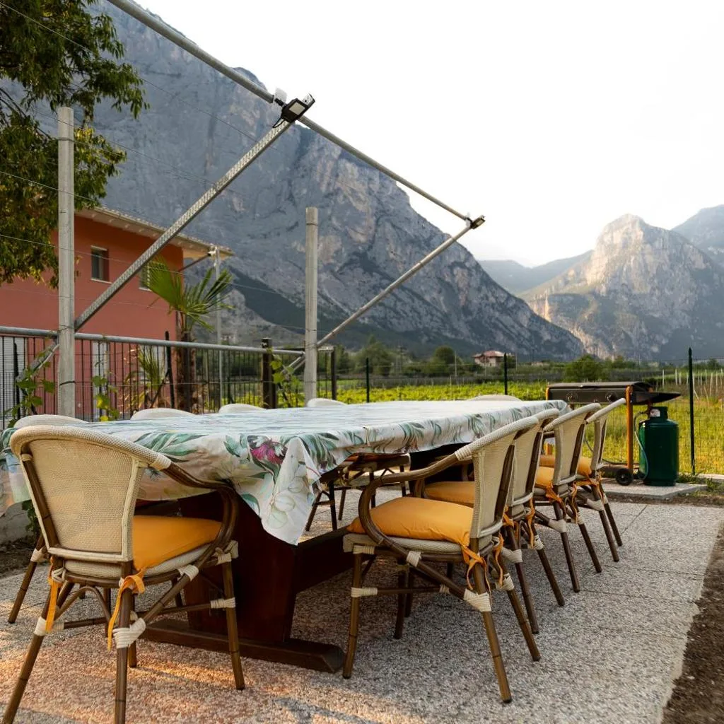 HOLIDAY APARTMENTS GIULIA - Green - صورة 7