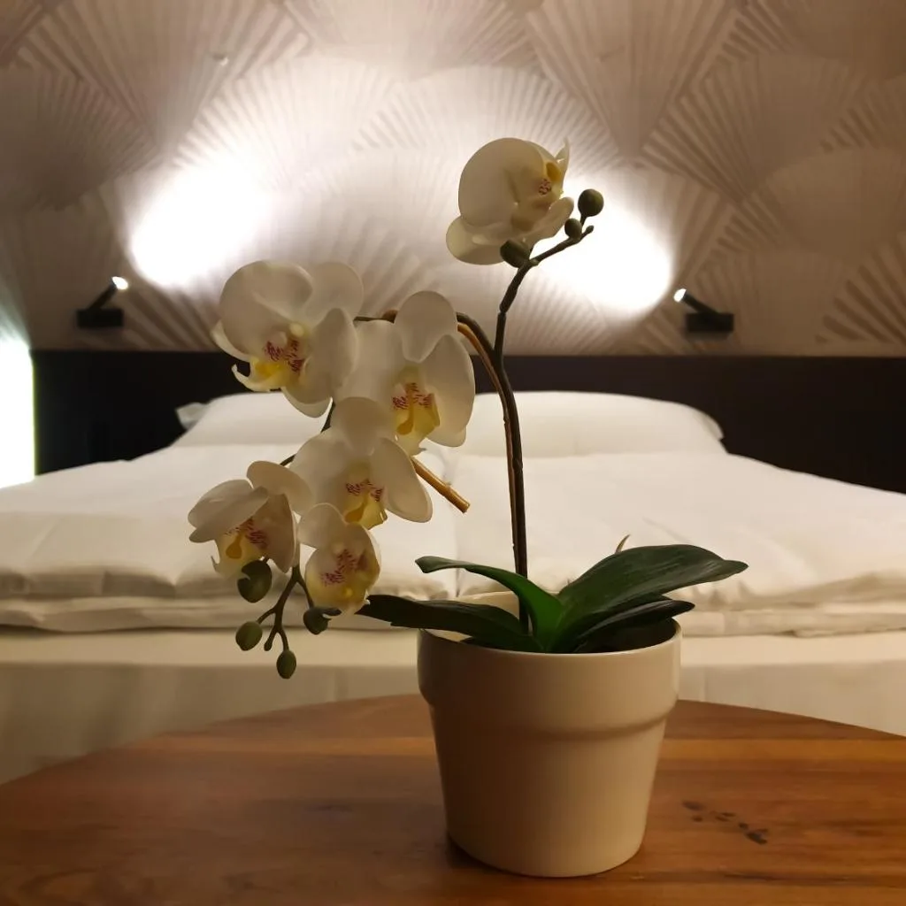 San Carlo Suite - صورة 17