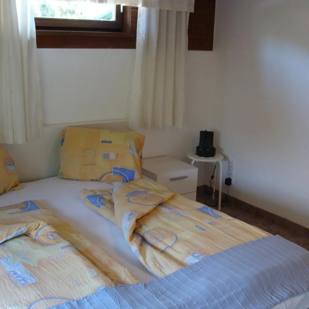 Appartement Gschwandtner - صورة 20
