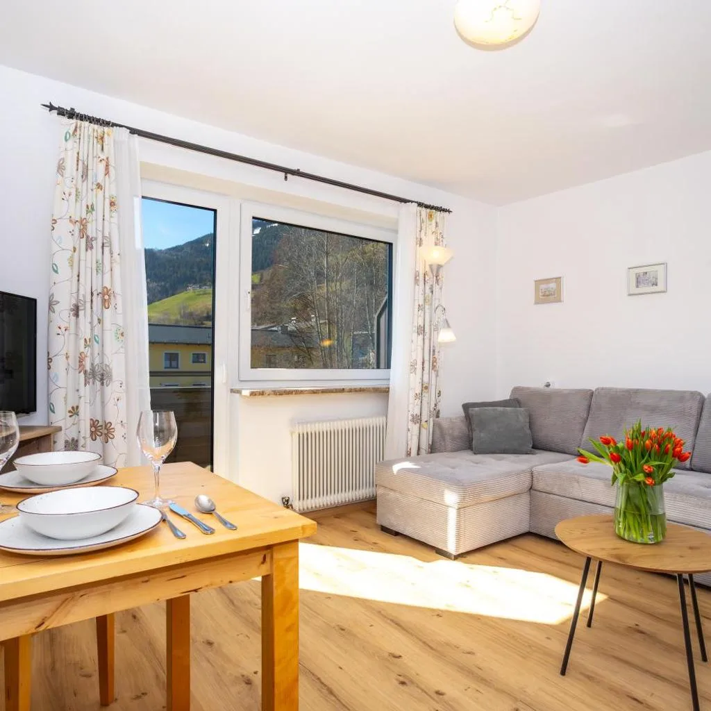 Alpina Apartments - Zell am See - Air Condition - صورة 17