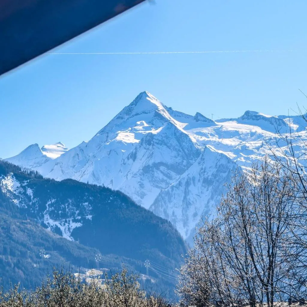 Alpina Apartments - Zell am See - Air Condition - صورة 3