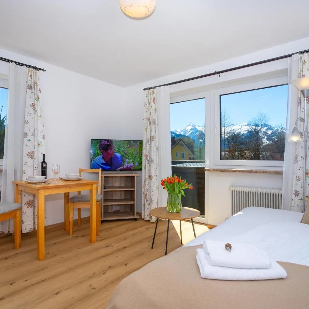 Alpina Apartments - Zell am See - Air Condition - صورة 6