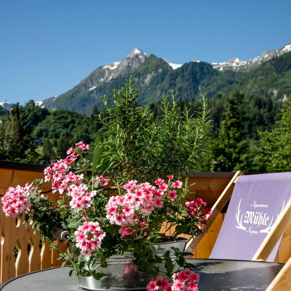 Apartments Mühle Kaprun RE-OPENING November 2026 - صورة 17