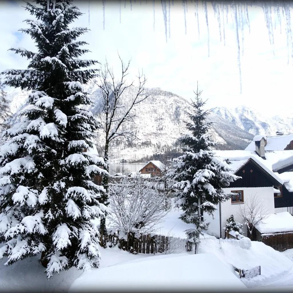 Pension Bergfried - صورة 17