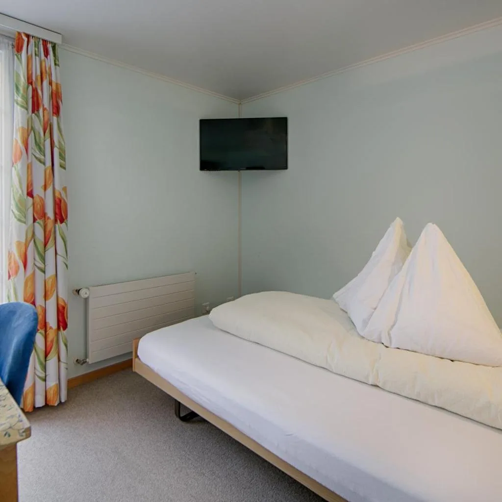Hotel Frohe Aussicht - صورة 13