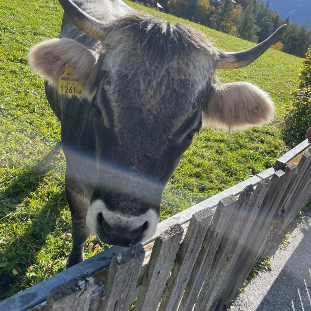 LakeSide Apartments Seefeld - صورة 18