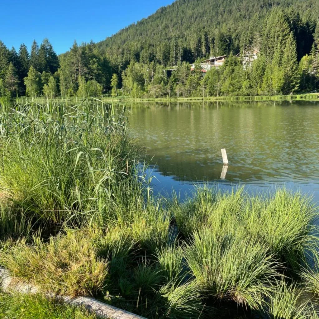 LakeSide Apartments Seefeld - صورة 5