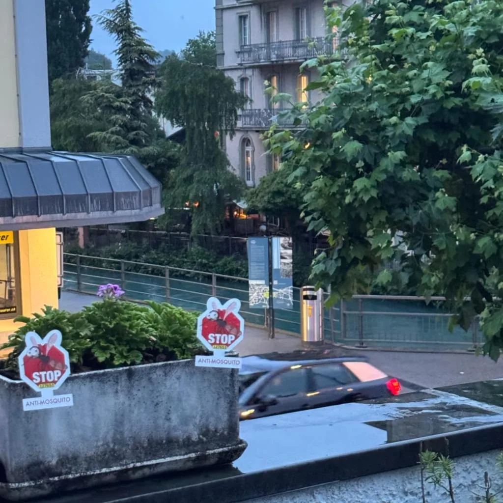 Bahnhof West Apartments - صورة 4