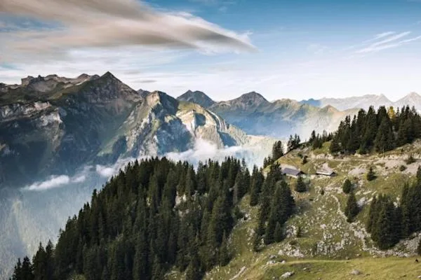 Hotel Schynige Platte - صورة 3