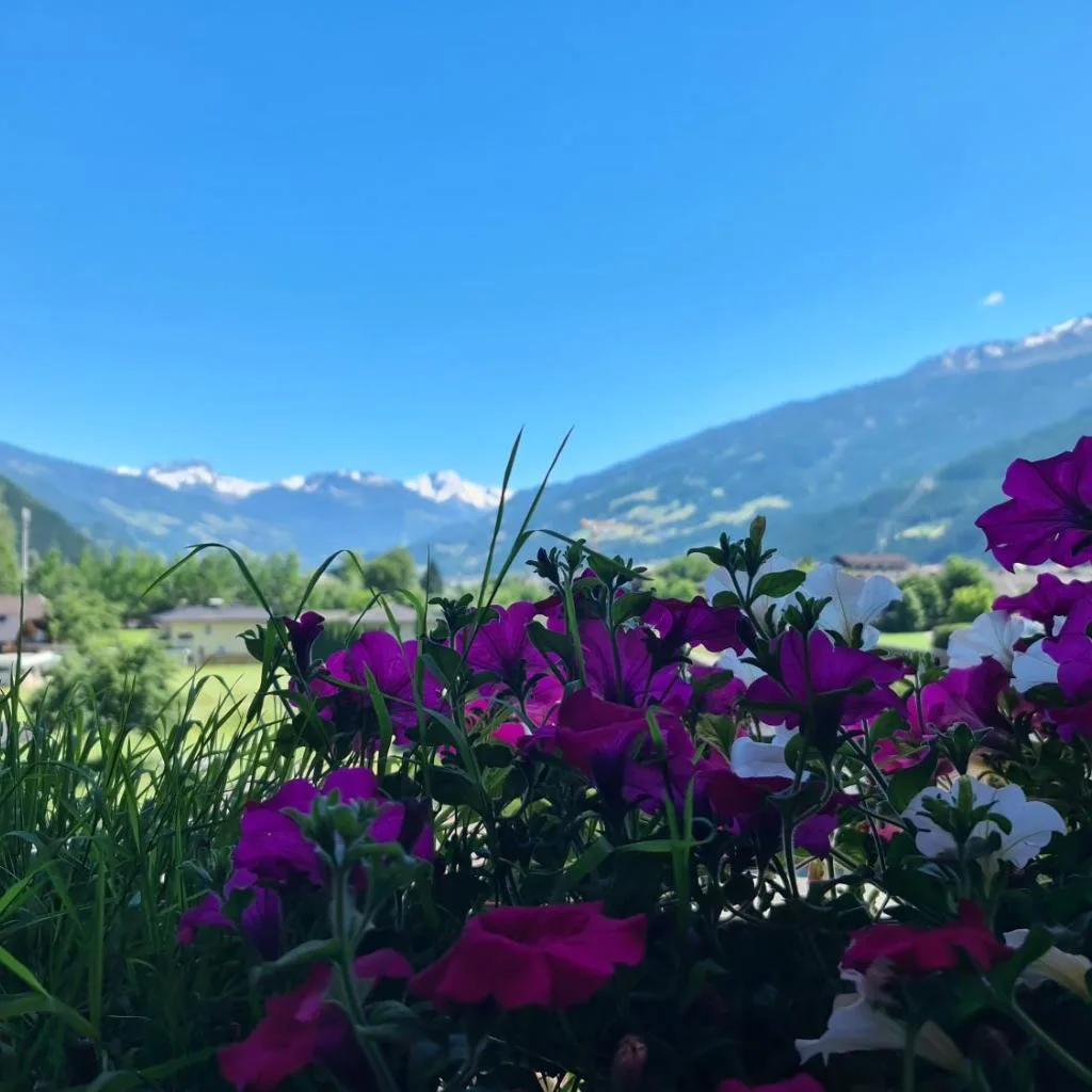 Hotel Giessenbach - صورة 5