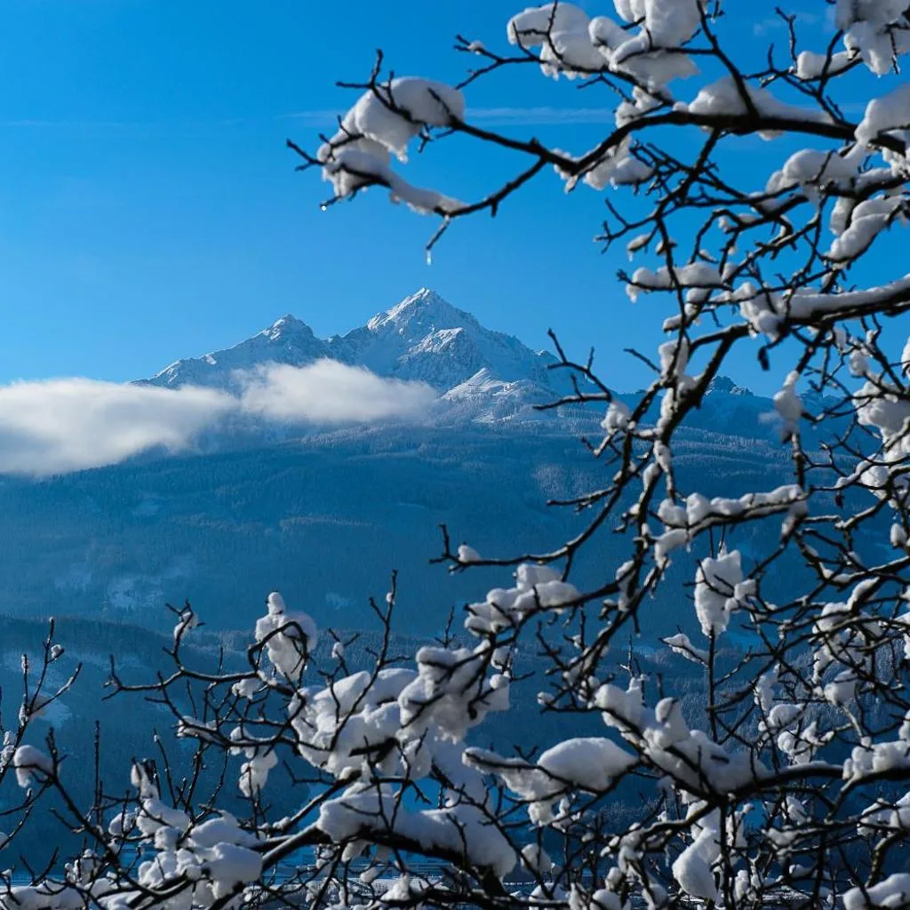 Kasperhof Apartments Innsbruck Top 6 - 7 - صورة 20