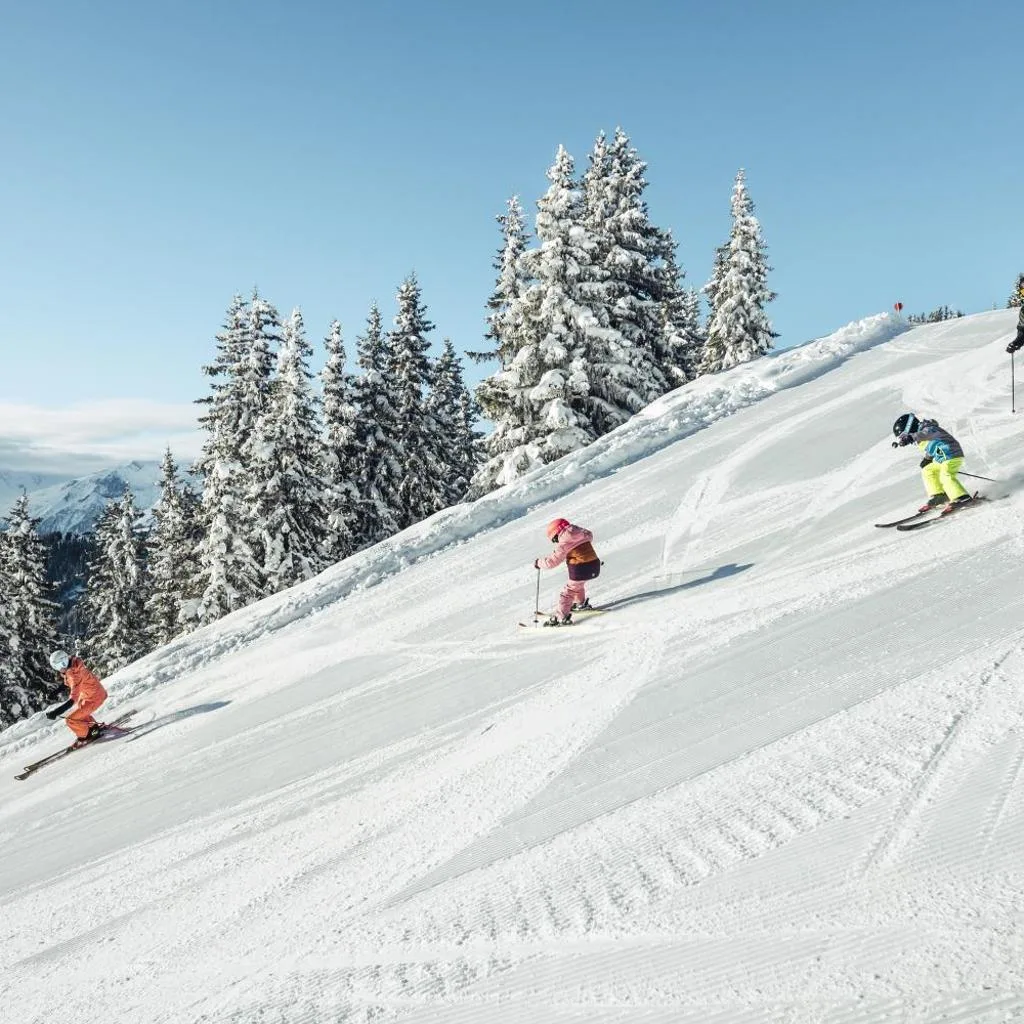 AlpenParks Chalet & Apartment AreitXpress - صورة 15