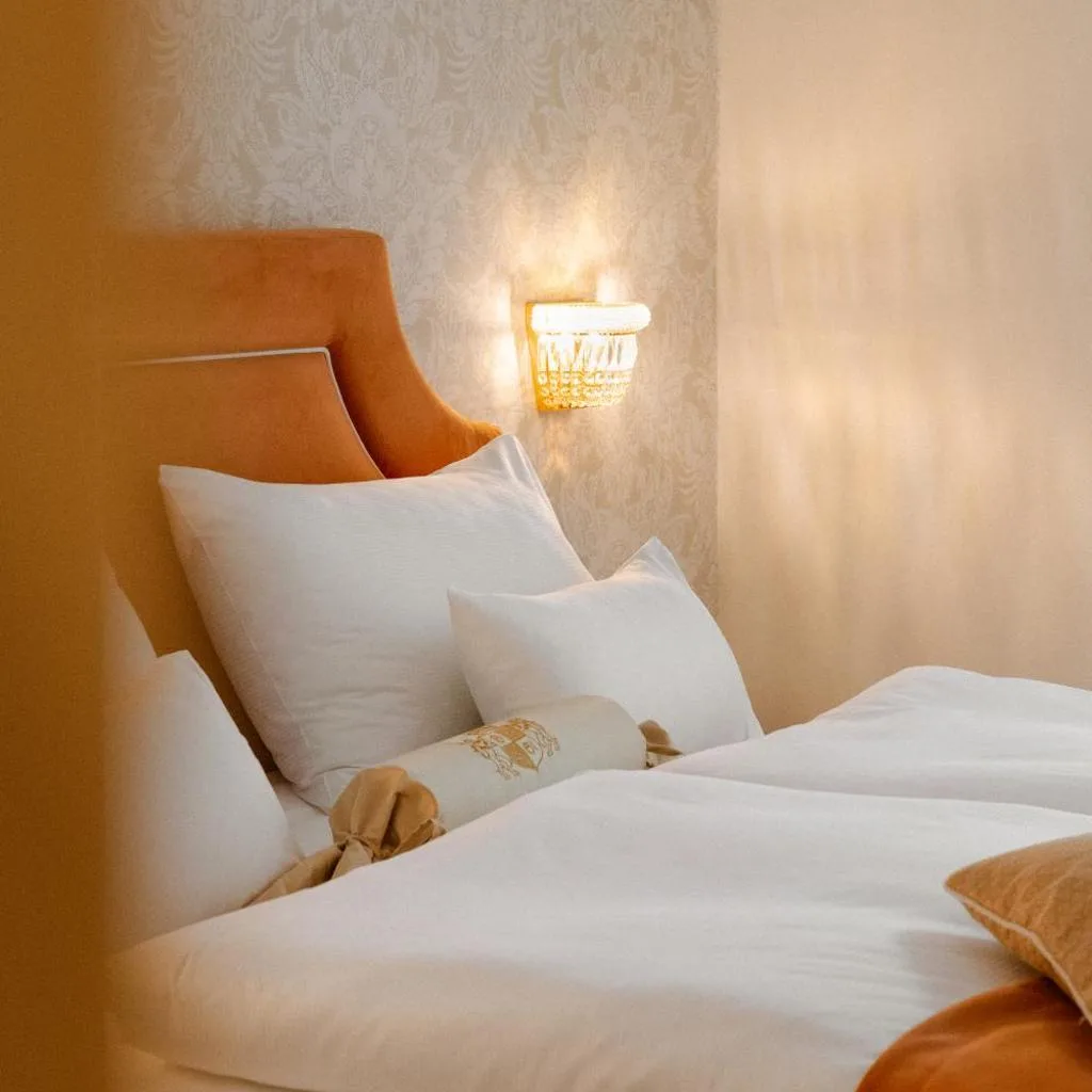 Hotel Stefanie - VIENNA'S OLDEST HOTEL - صورة 16