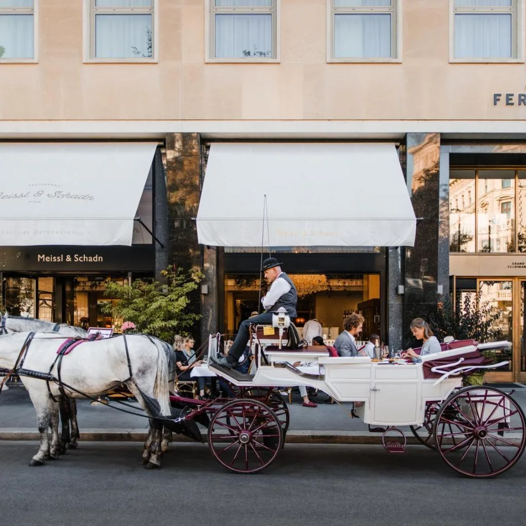 Grand Ferdinand Vienna – Your Hotel In The City Center - صورة 5