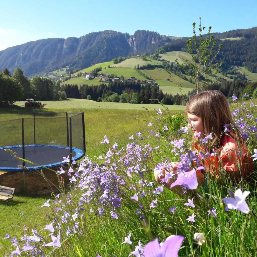 Appartements Alpenschlössl - صورة 12