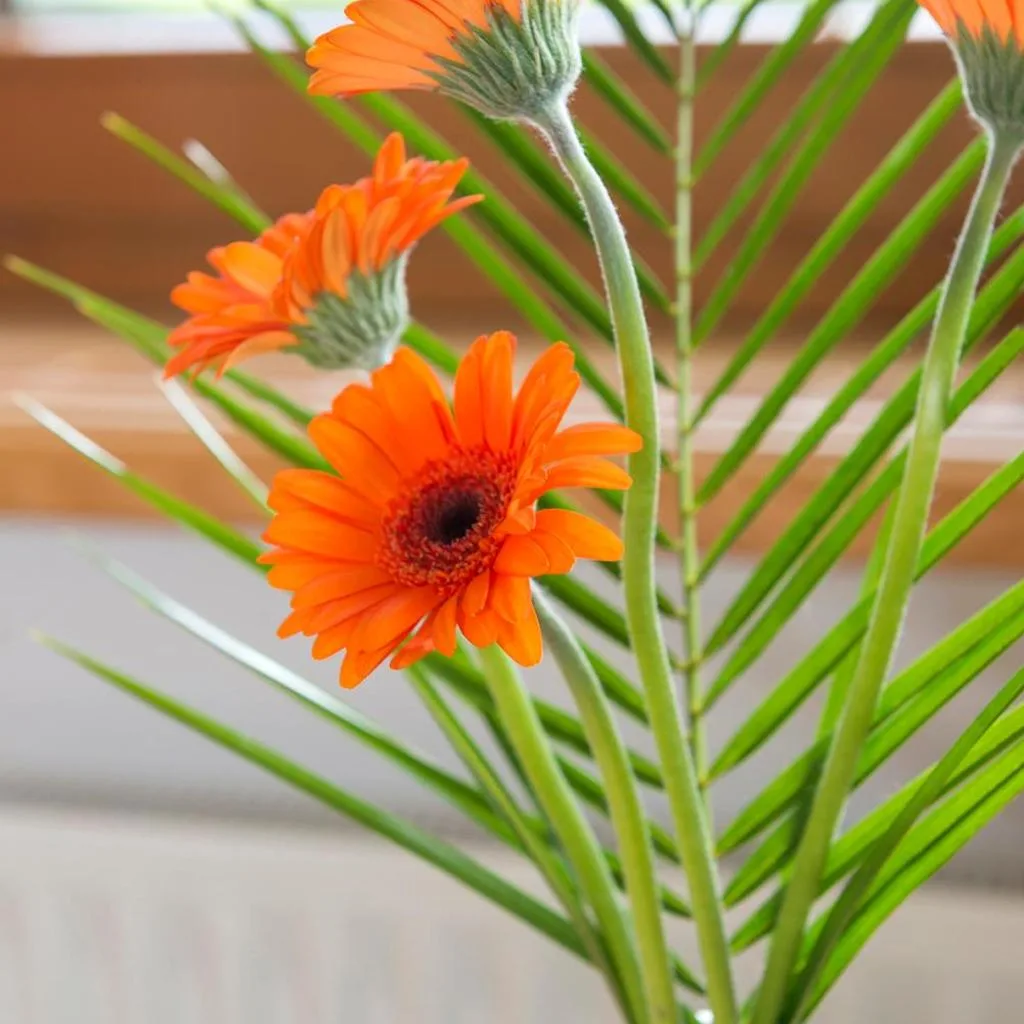 Appartements Alpenschlössl - صورة 8