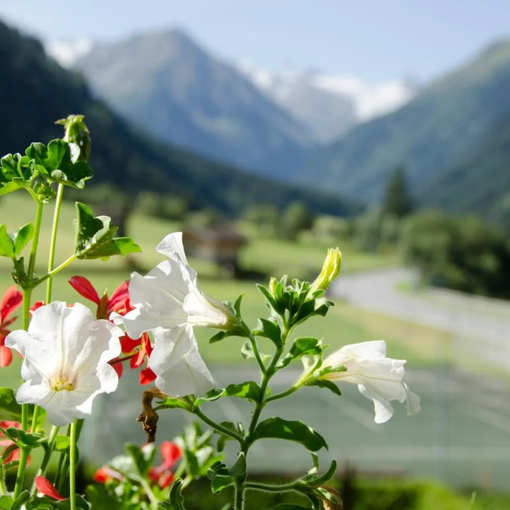 Apart-Pension Wasserfall - صورة 14
