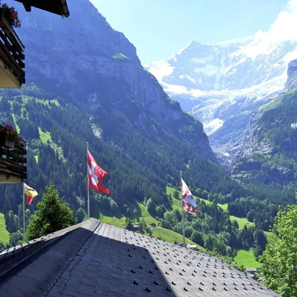 Hotel Kirchbühl Superior - صورة 5