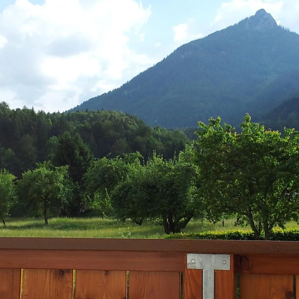 Haus Amalia - صورة 5