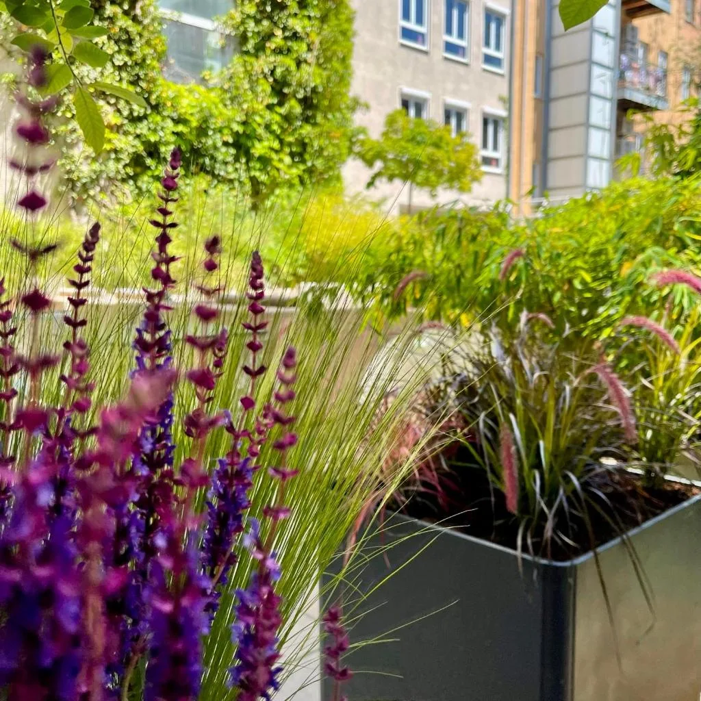 Boutique Hotel Atrium München - صورة 8