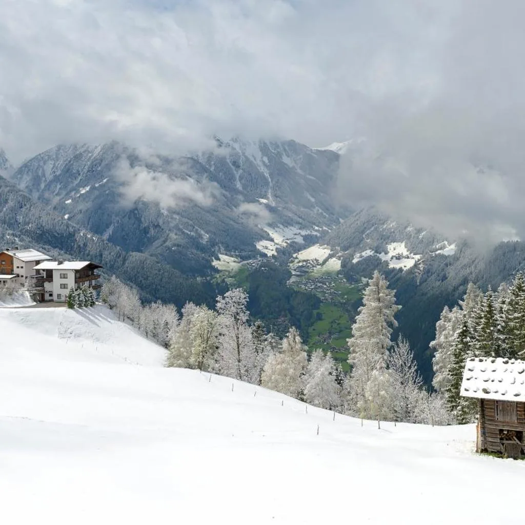 Berggasthaus Steinerkogl - صورة 14