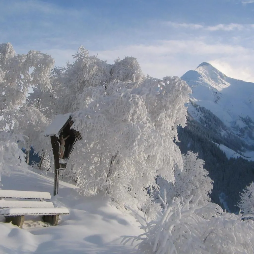 Berggasthaus Steinerkogl - صورة 16
