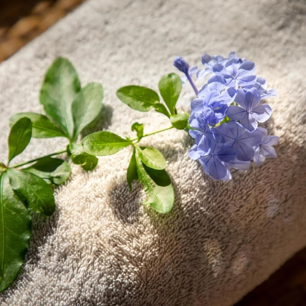 Monastero Santa Rosa Hotel & Spa - صورة 17