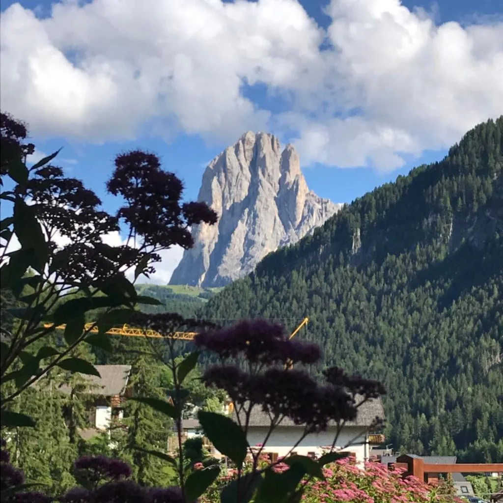 Apartments Chalet Anna - صورة 5