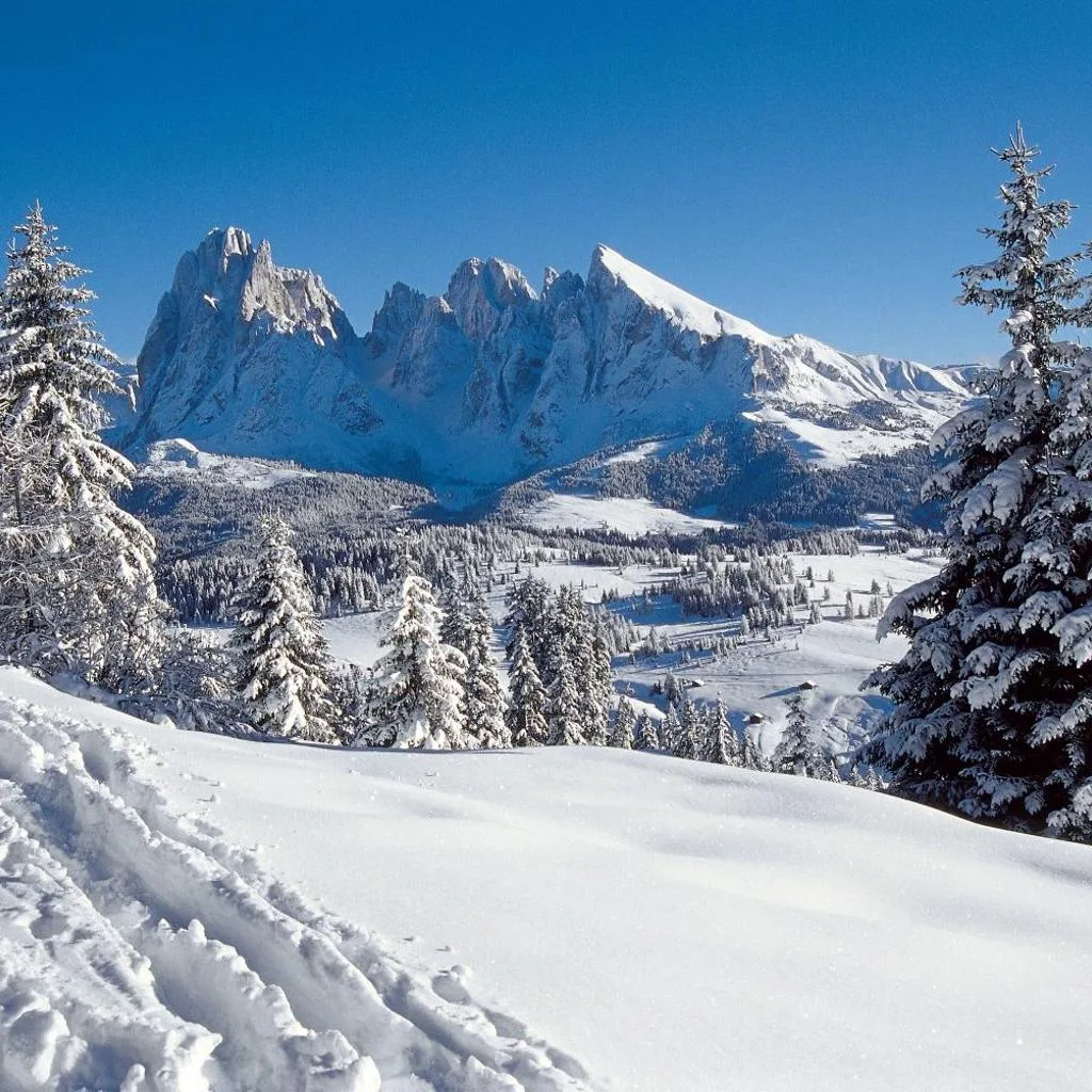 Alpin Sport - صورة 19
