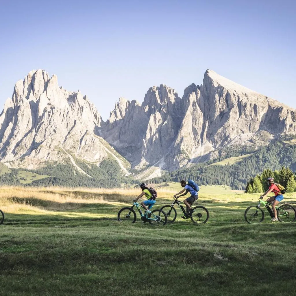 ADLER Dolomiti - صورة 15