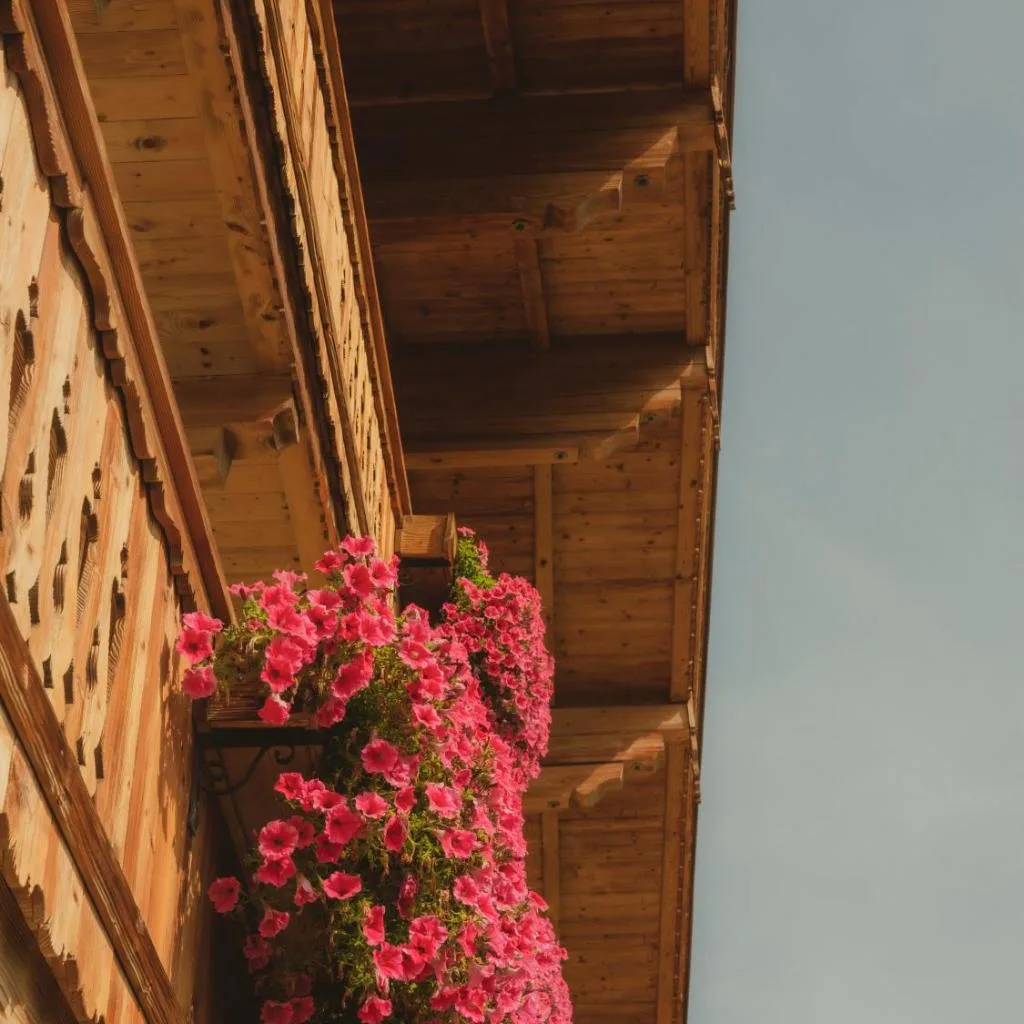 Schulhaus Tirol - صورة 2