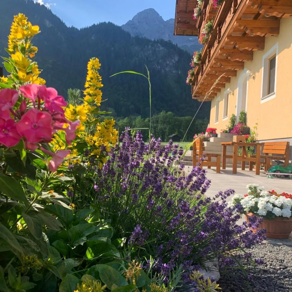 Alpen Appartements Oberlehengut - keine Haustiere - allergikerfreundlich - صورة 2