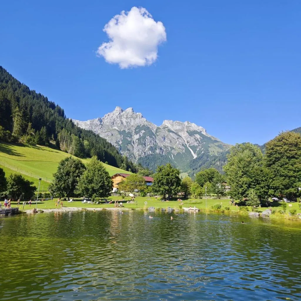 Alpen Appartements Oberlehengut - keine Haustiere - allergikerfreundlich - صورة 5
