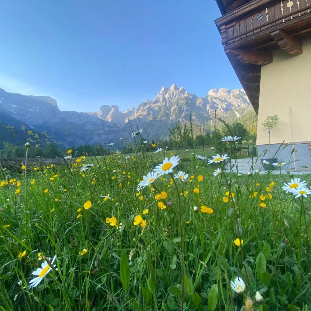 Alpen Appartements Oberlehengut - keine Haustiere - allergikerfreundlich - صورة 8