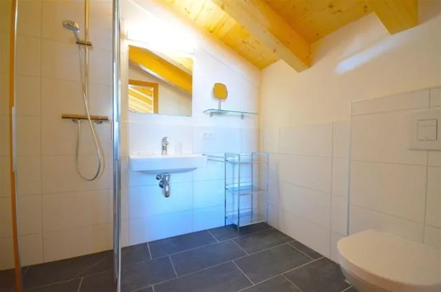 Apart-Chalet Kitzblick - صورة 14