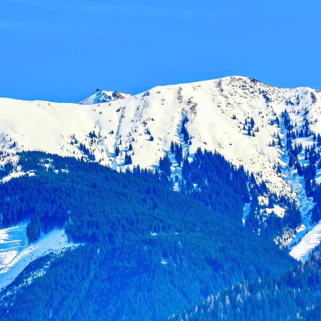 Alpin & Seeresort Top 10 - by Alpen Apartments - صورة 10
