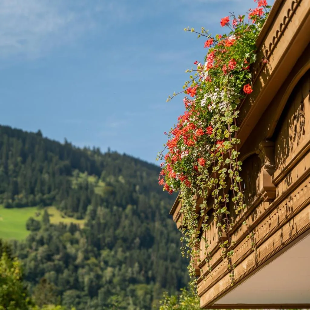 Appartementhaus Arzt - صورة 5