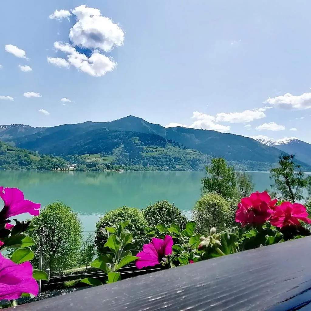 Haus Ditzer - Villa Theresia - صورة 15
