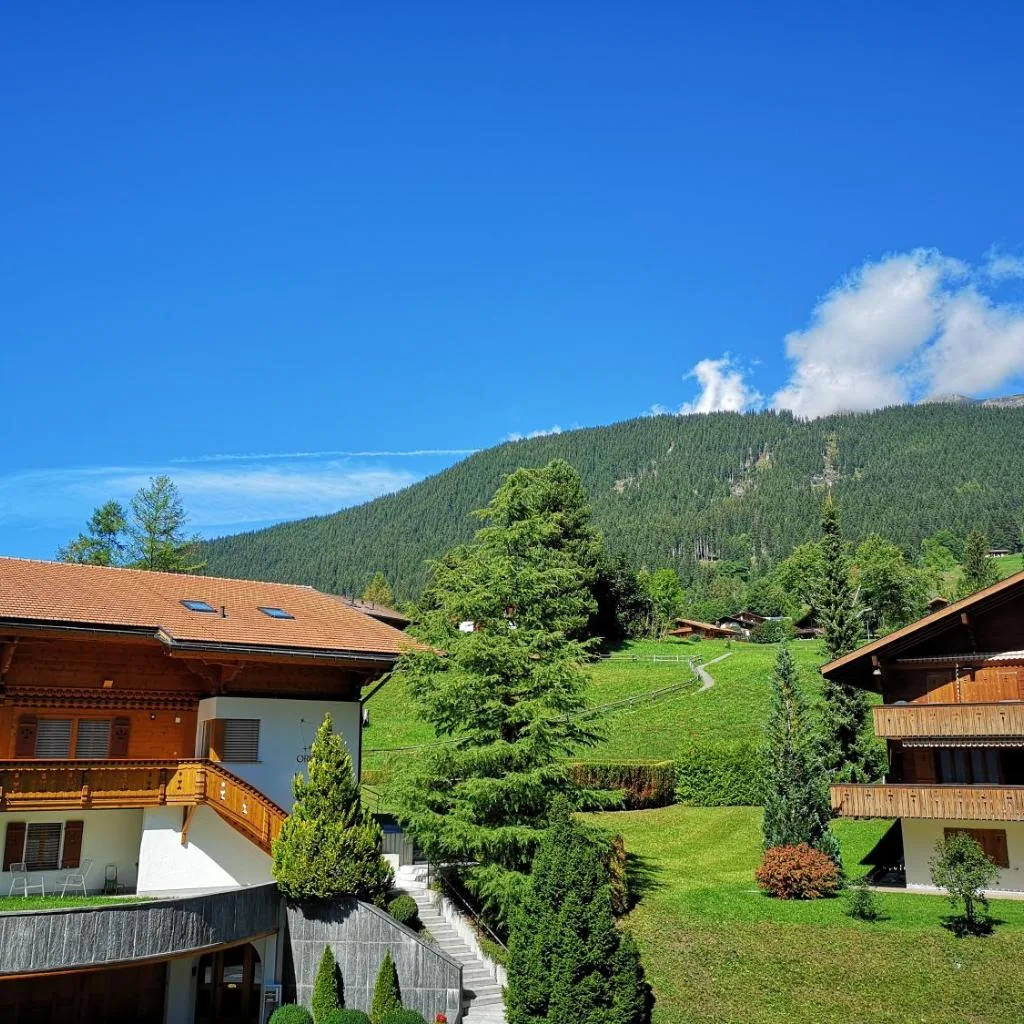 Hotel Gletscherblick Grindelwald - صورة 4