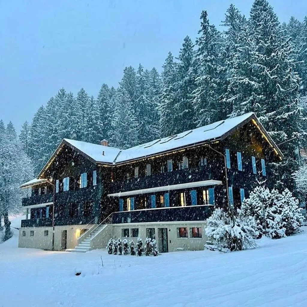 Eiger View Alpine Lodge - صورة 2