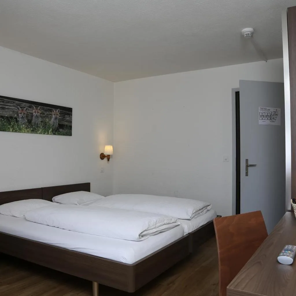 Hotel Crystal Interlaken - صورة 14