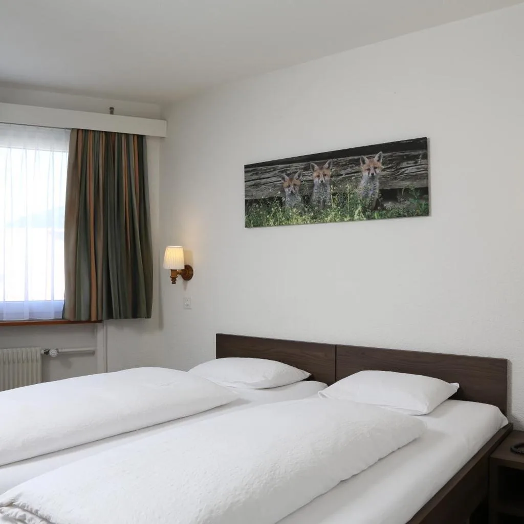 Hotel Crystal Interlaken - صورة 20