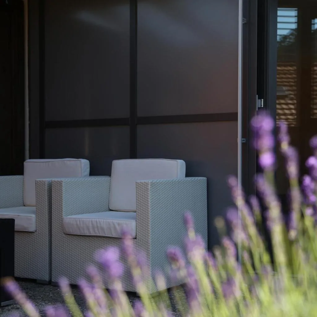 Hotel Crystal Interlaken - صورة 7