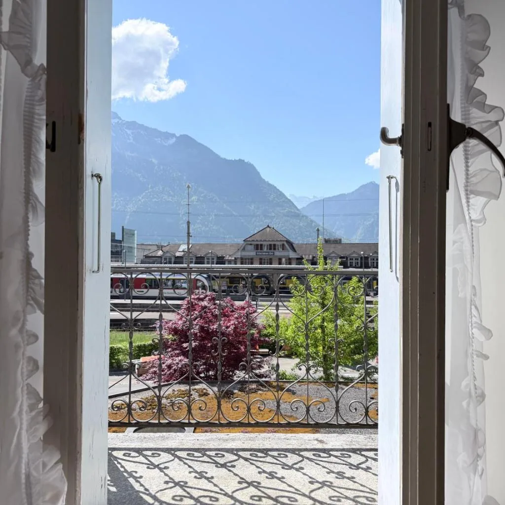 Hotel Du Lac - صورة 10
