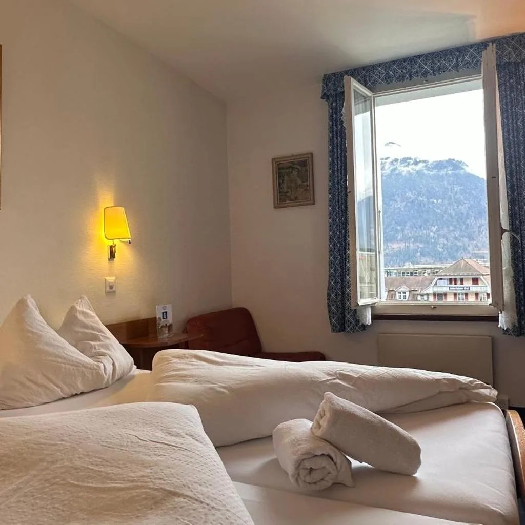 Hotel Du Lac - صورة 11