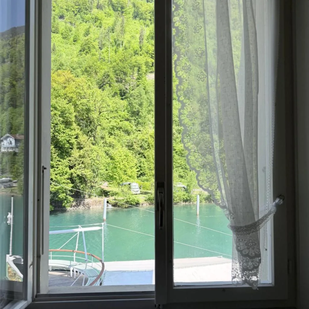 Hotel Du Lac - صورة 12