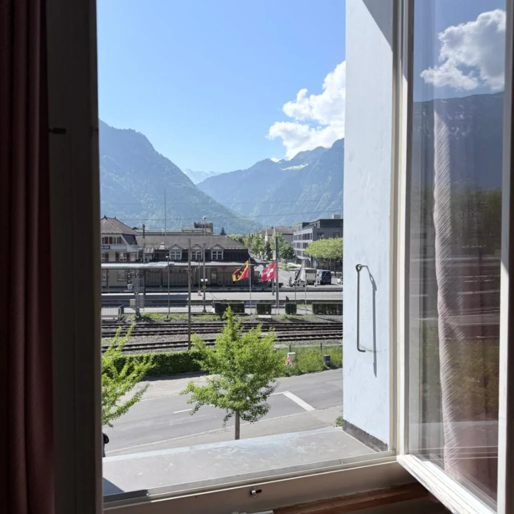 Hotel Du Lac - صورة 13