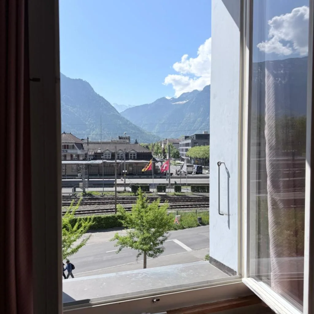 Hotel Du Lac - صورة 3